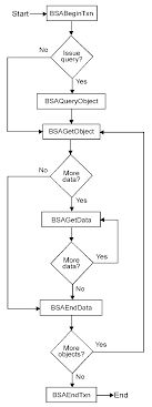 ibm tivoli storage manager using the application program