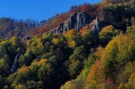 În această zonă întâlnim coada zmeului. Parcul Natural Defileul MureÈ™ului Superior Peterlengyel