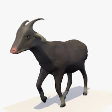 Animated Single Goat Walking 3d Model Ad Single Animated Goat Model Animation 3d Model Goats