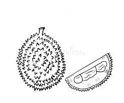 Complete the fish puzzle on land 4. Durian Coloring Stock Illustrations 23 Durian Coloring Stock Illustrations Vectors Clipart Dreamstime
