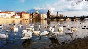 Charles Bridge Prague Jigsaw Puzzle Charles Bridge Jigsaw Puzzles Prague