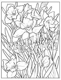 I don't give a damn ! Fuck Off I M Coloring Unwind With 50 Obnoxiously Fun Swear Word Coloring Pages Funny Activity Book Adult Coloring Books Curse Words Swear Humor Profanity Activity Funny Gift Book By Dare You Stamp