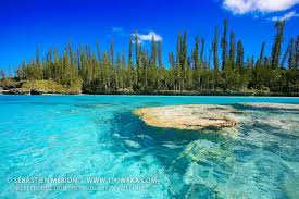 Piscine Naturelle Baie D Oro Ile Des Pins Nouvelle Caledonie Places To Travel Places To Go Places Around The World