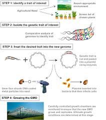 This technology is used to modify genomes. How To Make A Gmo Science In The News