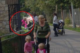 1) na terenie ogrodu obowiązuje nakaz zachowywania 2 metrowego dystansu zarówno w części parkowej jak i w pawilonach. Zamosc Nieodpowiedzialni Rodzice W Zoo Matka Przelozyla Dziecko Przez Ogrodzenie Lublin Super Express