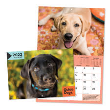 Anyone else have a problem with the 337.88 drivers crashing when going 1920 x 1080 fullscreen. Guide Dogs 2022 Calendar Guide Dogs Queensland