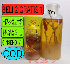 Ciri ciri minyak dalam botol adalah / √ pengertian gula, ciri, jenis, manfaat, bahaya, dan. Minyak Bulus Ginseng Merah 10ml 30ml Lazada Indonesia