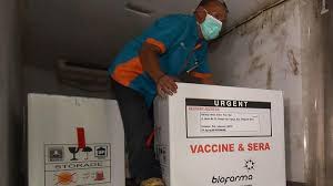 Penyuntikan vaksin sinovac telah dilakukan hari ini (13/1). Mui Nyatakan Vaksin Sinovac Halal Nasional Tempo Co