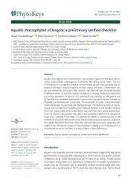 Image result for Micrargeriella aphylla