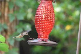 Birds Of A Feather Williamsburg Hummingbird Williamsburg Va Decor Outdoor Decor Home Decor