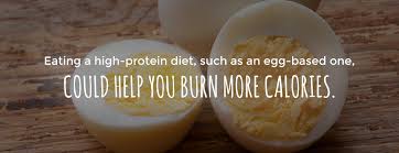 These are few best egg recipes for weight loss that will keep a count on your calorie intake and will fill you up too with these yummy recipes. A Guide To Eating Eggs For Weight Loss Sauder S Eggs