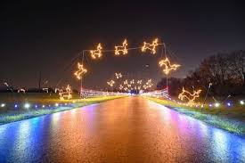 Magic of Lights 2022 goes prehistoric while maintaining traditional holiday  feel