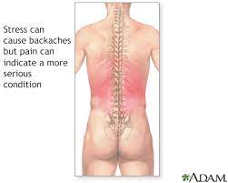 We did not find results for: Low Back Pain Acute Information Mount Sinai New York