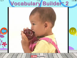 Vocabulary Builder 2 Video Flashcard Player By Baby Bumblebee