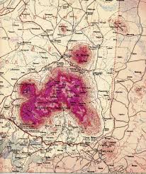 Image result for Dissotis longisepala