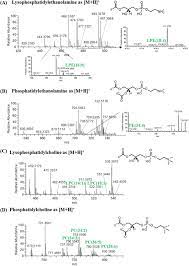 Hasil dari 5 2 + 6 2 adalah…. Polar Lipidomic Profile Shows Chlorococcum Amblystomatis As A Promising Source Of Value Added Lipids Scientific Reports