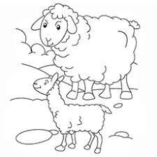 Our sheep and lamb colouring page is a lovely way to remeber a day out. Top 25 Free Printable Sheep Coloring Pages Online