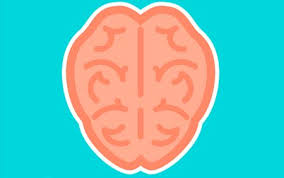 One of these fields is mental training. Top 10 Best Brain Training Apps Quicklockapp