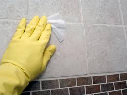 We did not find results for: Mold Control And Prevention Products Hgtv