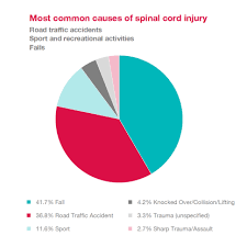 What Is Spinal Cord Injury Spinal Research