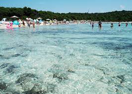 Kristallklares wasser und feiner sand. Traum Sandstrand In Kroatien Sakarun Beach Auf Dugi Otok Kofferpacken At