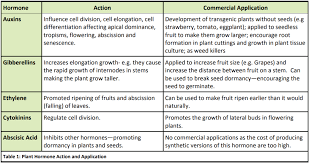 We did not find results for: What Is Plant Growth Optimisation The University Of Auckland