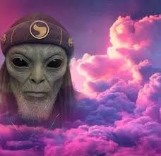 What is the best bid for this Whist hand?