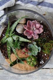 How To Make A Terrarium And Keep It Alive How To Make Terrariums Terrarium Diy Succulent Terrarium