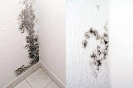 can you paint over mold in the bathroom decor snob schimmel im badezimmer schimmel im haus badezimmer