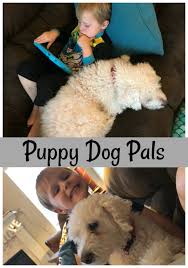 I would recommend this to a friend. Disney S Puppy Dog Pals Available On Dvd On This Tuesday April 10th Nanny To Mommy