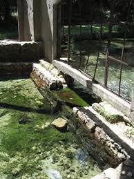 Pathways through native trees lead to our freshwater spring where you can drink. Paradise Springs Nature Trail Eagle Usa The Secret Garden Atlas