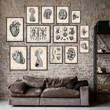 Codex Anatomicus On Instagram Hope You Will Enjoy This Anatomy Picture Wall Anatomyart Anatom Massage Room Decor Chiropractic Decor Vintage Medical Art