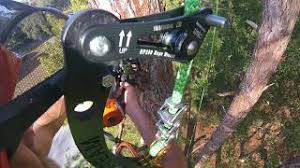 Drive the stakes into the ground. Raw Working Down A Pine Tree With A High Tie In Point Youtube