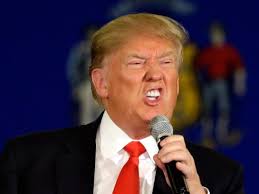 Image result for Donald Trump