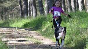 Check spelling or type a new query. Journal L Union