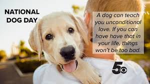 Aug 26, 2021 / 12:38 pm edt / updated: Today Is National Dog Day 5newsonline Com