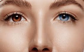 Check spelling or type a new query. 7 Fakta Heterochromia Orang Yang Lahir Dengan Warna Mata Berbeda