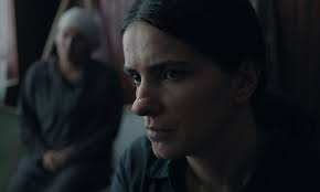 Hive :: Zeitgeist Films