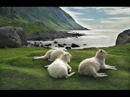 Pan Jest Pasterzem Moim Wmv Faith Songs Animals Polar Bear