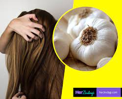 It's a sign of a deficiency or imbalance in the body. 4 Ways You Can Use Garlic Or Lehsun To Treat Baldness Dandruff And Hair Thinning