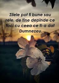Praf de stele carla's dreams. Facebook