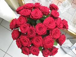 Maybe you would like to learn more about one of these? Royalty Free Rose Petals On The Floor Photos Free Download Pxfuel