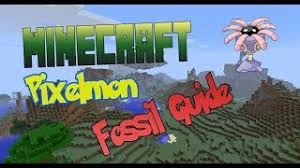 There are 17 different fossil displays that can be crafted. Pixelmon Fossil Guide Youtube