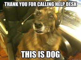 I also include personalized office gifts like personalized work mugs, personalized mugs for coworkers, personalized mugs for boss, personalized mugs for employees, and personalized office mugs. C02fc9d42965203bae7cc90c7152ece3 Jpg 625 468 Pixels Funny Thank You Pictures Dogs Funny Thank You