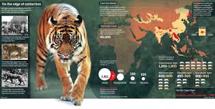 Pin On Some Of The Deadliest Creatures On This Earth