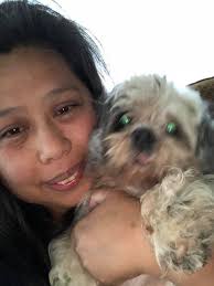 Missing cat in North Bend, King County, still not found