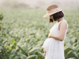 We did not find results for: 12 Makanan Yang Mengandung Asam Folat Tinggi Untuk Ibu Hamil