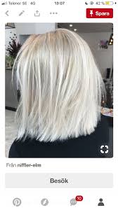 Pin By Nits On Hair Dyed Hair Silver Hair Hair Color Auburn