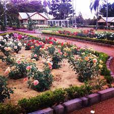 Beautiful Rose Garden In The Newtown Park Toowoomba Queenaland Australia The Scent From These Beautiful Flower Toowoomba Garden Design Queensland Australia