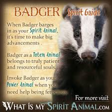 In the native american tradition, spirit animals are an embodied form of a spiritual guide. Badger Symbolism Meaning Spirit Totem Power Animal